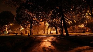 parque, noche, iluminación, árboles, camino, hojas - wallpapers, picture