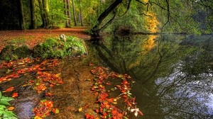 park, autumn, leaves, pond, trees, plate