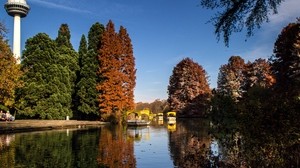 park, sjö, höst, träd, reflektion