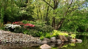 park, pond, trees, stones, landscape