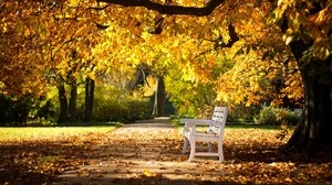 公园，长凳，叶子，秋天