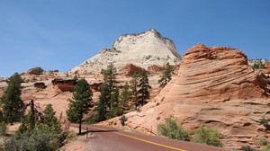 park, usa, road, zion, nature - wallpapers, picture