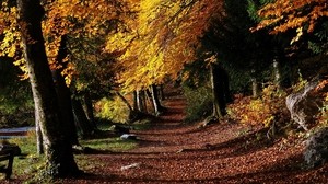 park, path, forest, trees, leaves