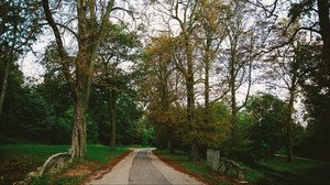 park, path, autumn, trees, paris