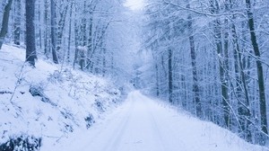 park, path, winter, snow, trees