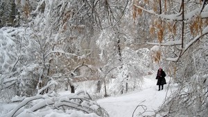 公园，冬季，雪，人，步行，雪堆，重力 - wallpapers, picture