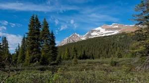 公园，加拿大，山脉，森林，风景，灌木，自然 - wallpapers, picture