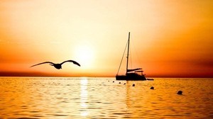 sailboat, fishing, bird, flight, evening, sea, outlines, buoys