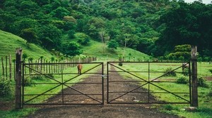 pasture, stable, gates, trees, grass
