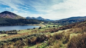 paesaggio, lago, montagne, foresta, natura