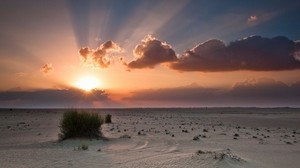 sand, trees, grass, sky, sunset - wallpapers, picture