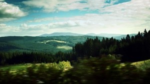 landscape, trees, forest, blur