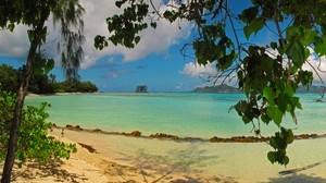landscape, sea, seychelles la digue, beach, leaves, nature
