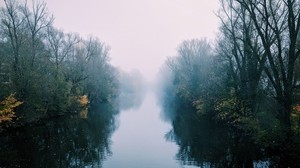 river, fog, trees, bushes, reflection