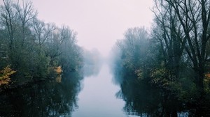 río, niebla, árboles, arbustos, reflejo