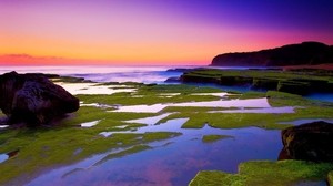 plates, moss, coast, stone, water, sea, horizon, orange, evening - wallpapers, picture