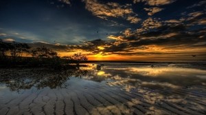 strand, runt, buskar, solnedgång