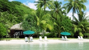 beach, palm trees, shore, sand, deck chairs, hut