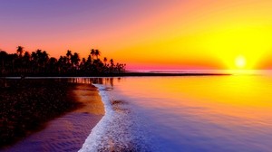 beach, tropics, sea, sand, palm trees, sunset - wallpapers, picture