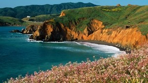 coast, sea, sun, flowers, cliff