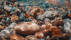 underwater, stones, bottom, dive, water, transparent - wallpapers, picture