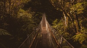 suspension bridge, bridge, trees