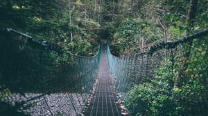 suspension bridge, ropes, trees, forest