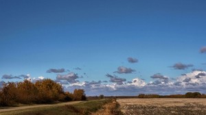 field, road, trees, clouds, agriculture, autumn