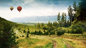 field, road, trees, landscape