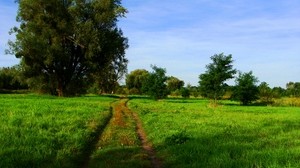 field, road, trees, nature - wallpapers, picture