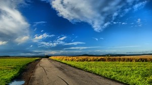 field, road, puddles, landscape