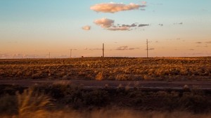 field, road, roadside, travel, evening