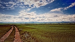 campo, strada, paesaggio