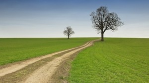 field, road, country, summer, trees, emptiness