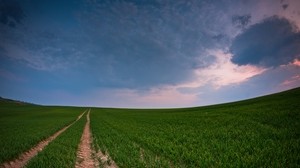 field, road, country, crops, panorama, green - wallpapers, picture