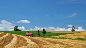field, farm, hay, straw, house
