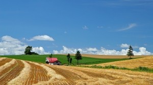 田野，农场，干草，稻草，房子