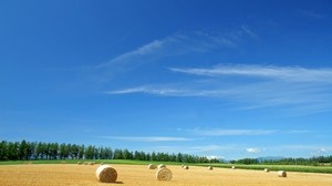 campo, granja, heno, paja, balas, verano