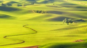 field, hills, grass - wallpapers, picture