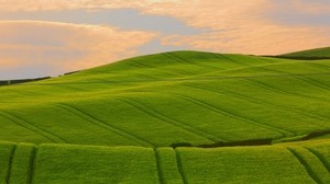 field, beautiful, distance, summer - wallpapers, picture