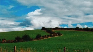 field, summer, grass, sky, clouds
