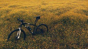 field, meadow, grass, bike, flowers - wallpapers, picture