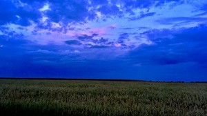 field, sky, clouds, evening