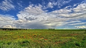 field, sky, landscape, summer - wallpapers, picture