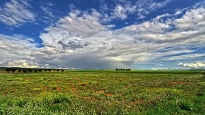 field, sky, landscape, summer