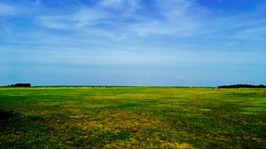field, sky, grass, summer