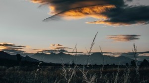 field, clouds, grass, sunset, dusk - wallpapers, picture