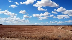 field, clouds, grass, sky, road