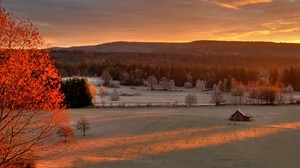 field, autumn, trees, evening - wallpapers, picture