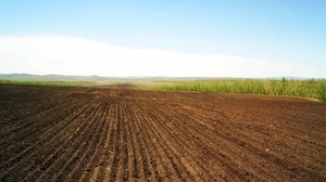 field, arable land, lines, ranks, agriculture - wallpapers, picture